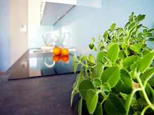 Apartament do wynajęcia_projekt - Kuchnia, styl nowoczesny - zdjęcie od re-ARCH Home Staging