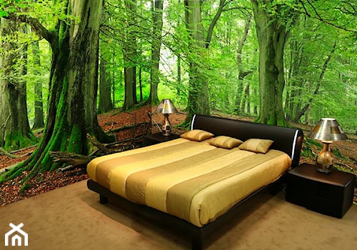 Sypialnia w lesie - zdjęcie od Tucana.pl