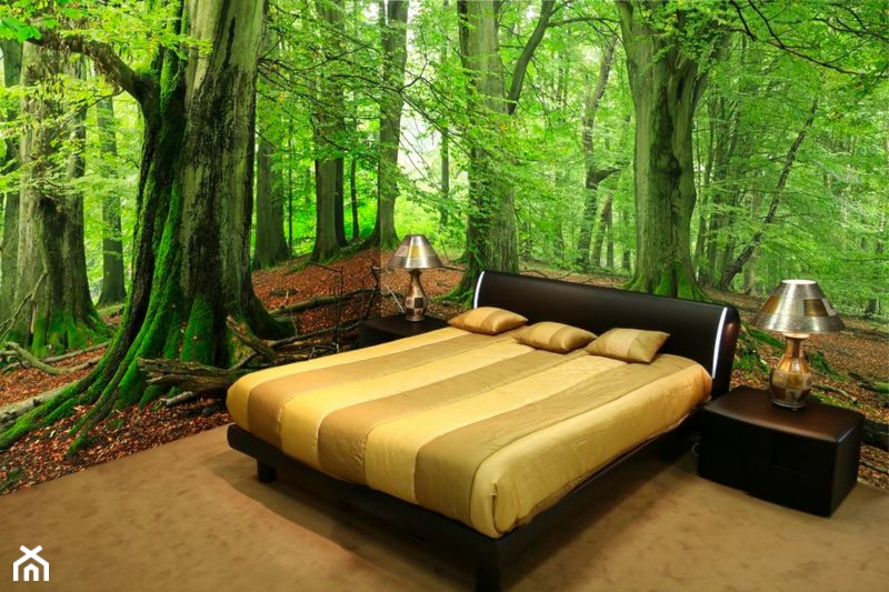 Sypialnia w lesie - zdjęcie od Tucana.pl - Homebook