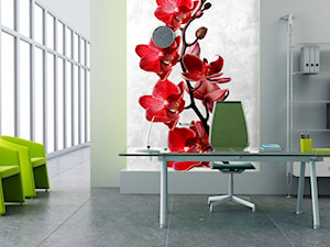 Biuro, styl minimalistyczny - zdjęcie od Tucana.pl