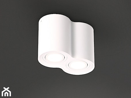 Aranżacje wnętrz - Salon: MAXlight Basic Round II - MAXlight. Przeglądaj, dodawaj i zapisuj najlepsze zdjęcia, pomysły i inspiracje designerskie. W bazie mamy już prawie milion fotografii!