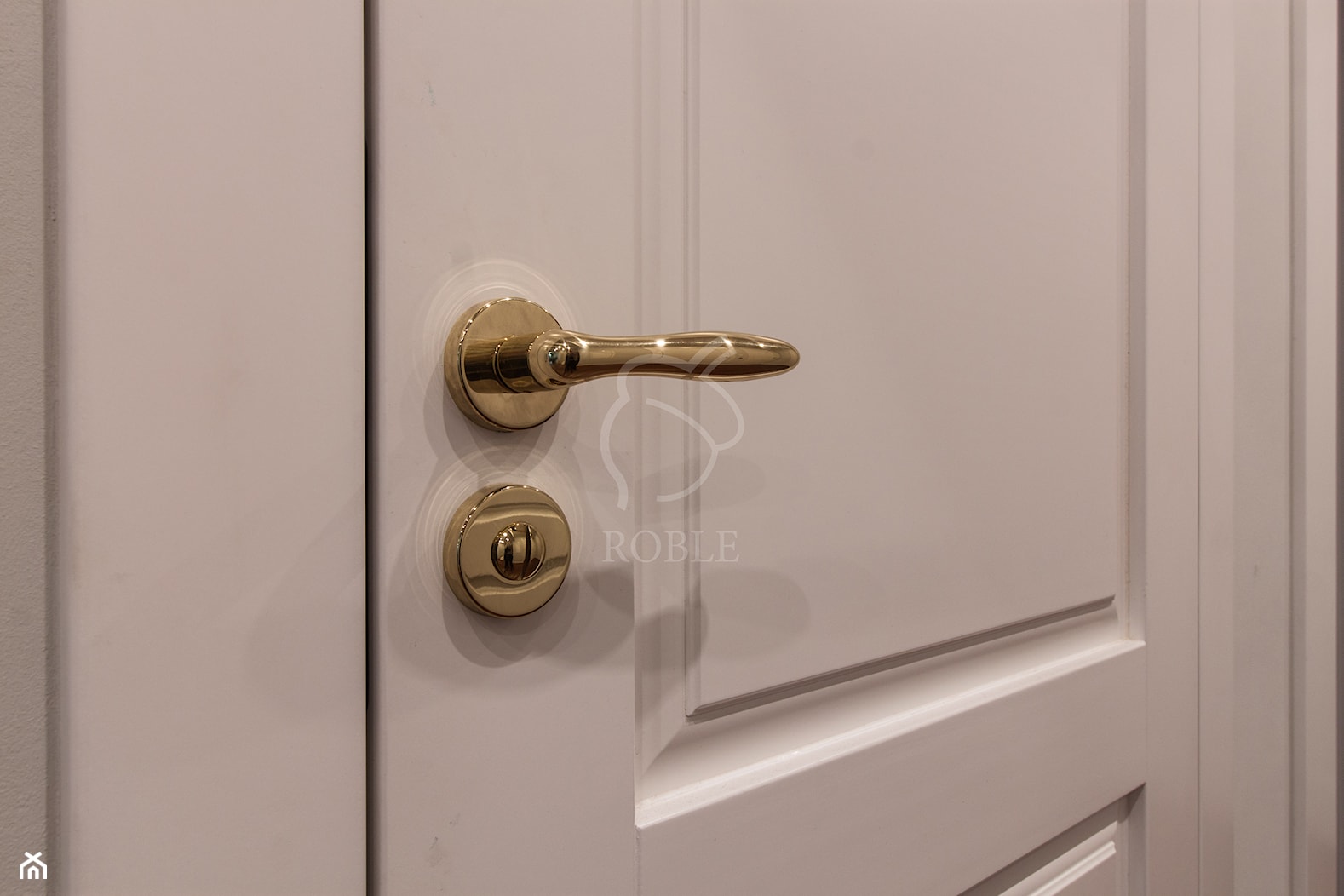 Białe drzwi drewniane ze złotą klamką - zdjęcie od Roble - Schody, Podłogi, Drzwi i Tarasy - Homebook