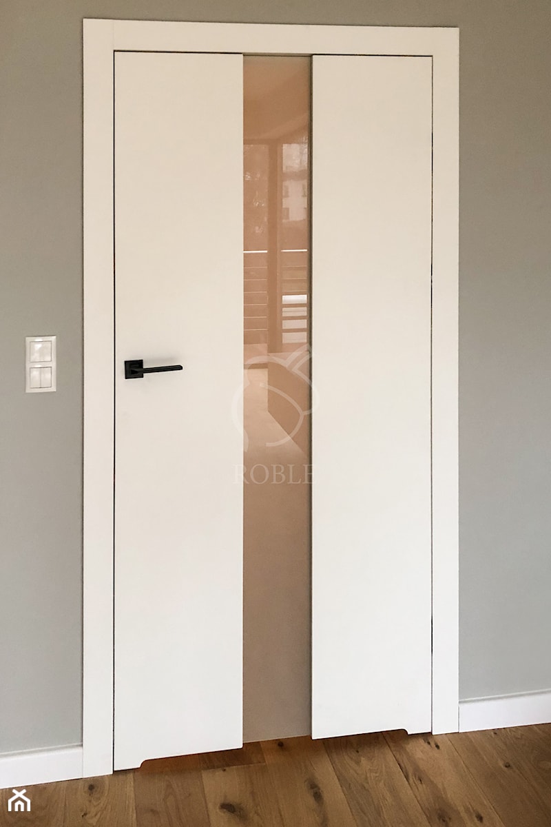 Białe drzwi ze szklaną wstawką - zdjęcie od Roble - Schody, Podłogi, Drzwi i Tarasy