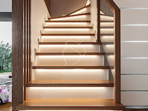 Nowoczesne schody na beton z oświetleniem - zdjęcie od Roble - Schody, Podłogi, Drzwi i Tarasy
