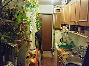 Kuchnio-korytarz - przechowywalnia. Wąskie, przygnębiające miejsce, szafki które są bardzo nie praktycznie. Kwiaty - to jedyna pociecha tego miejsca. - zdjęcie od Gedre