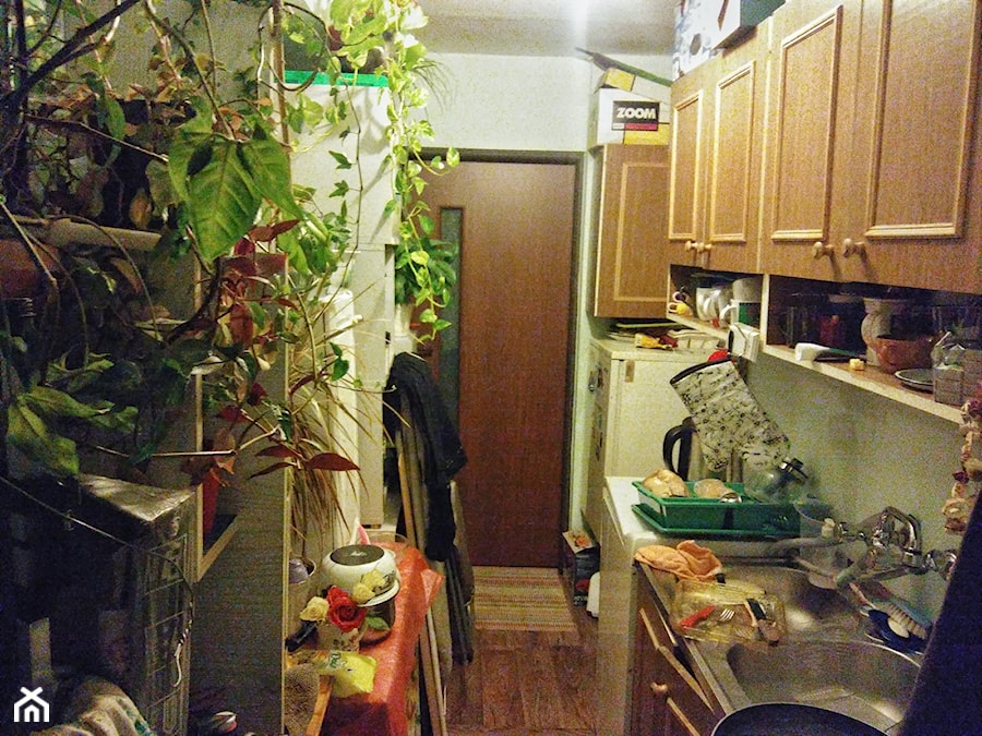 Kuchnio-korytarz - przechowywalnia. Wąskie, przygnębiające miejsce, szafki które są bardzo nie praktycznie. Kwiaty - to jedyna pociecha tego miejsca. - zdjęcie od Gedre
