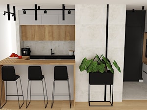 mieszkanie 21 - Kuchnia, styl nowoczesny - zdjęcie od projekt ka