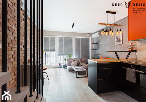Industrialne wnętrze mieszkania dwupoziomowego - Mały hol / przedpokój, styl industrialny - zdjęcie od Deer Design