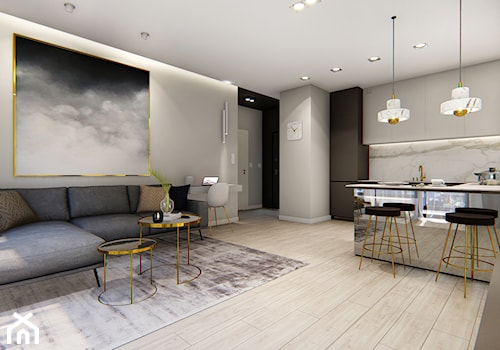 Mieszkanie 32m2 - Średni szary salon z kuchnią, styl nowoczesny - zdjęcie od BIZZONARCH