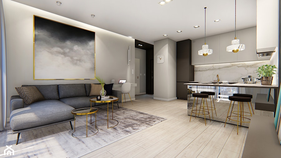 Mieszkanie 32m2 - Średni szary salon z kuchnią, styl nowoczesny - zdjęcie od BIZZONARCH
