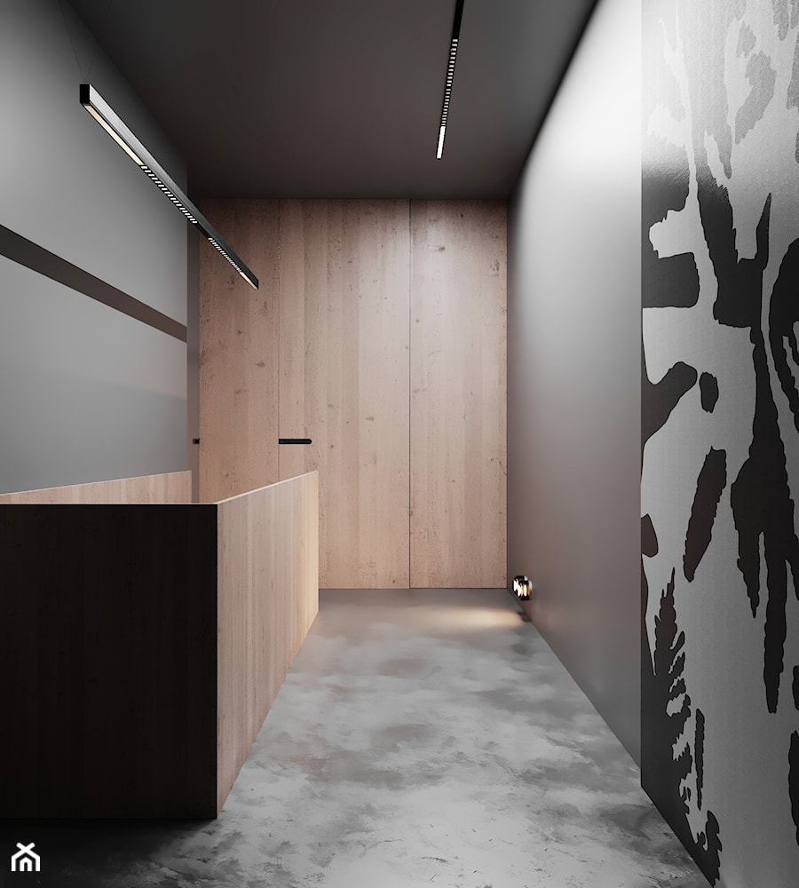 Projekt HD# Black Prostir - Hol / przedpokój, styl nowoczesny - zdjęcie od Home design HD-m2
