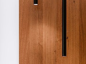 APARTAMENT | 4 - Salon, styl minimalistyczny - zdjęcie od Karolina Czech-Białas Pracownia Architektury i Wnętrz
