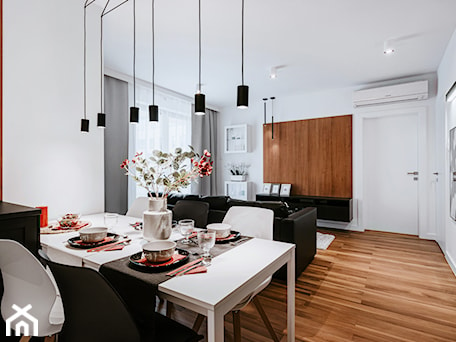 Aranżacje wnętrz - Salon: APARTAMENT | 4 - Salon, styl minimalistyczny - Karolina Czech-Białas Pracownia Architektury i Wnętrz. Przeglądaj, dodawaj i zapisuj najlepsze zdjęcia, pomysły i inspiracje designerskie. W bazie mamy już prawie milion fotografii!