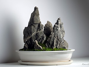 Doniczka "Koke-Bonkei" - zdjęcie od Przenoszący Góry