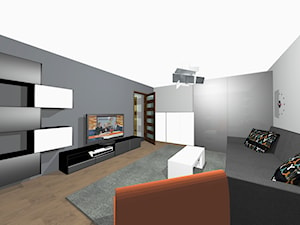 Mieszkanie Kawalera - Salon, styl minimalistyczny - zdjęcie od EMEN STUDIO