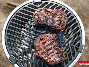 Mały grill który dużo może - grill węglowy Largo Barbecook - zdjęcie od Barbecook