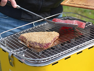 Grille Barbecook