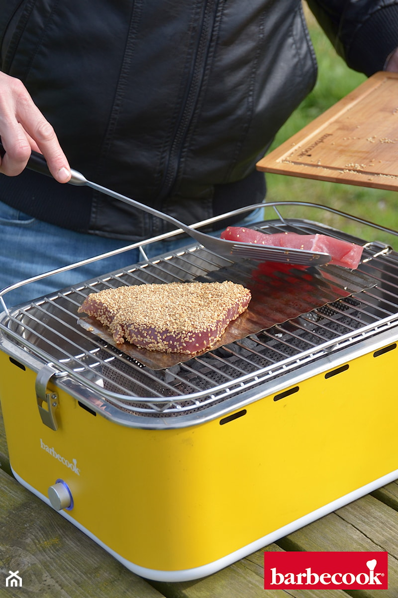 Grill węglowy Carlo Barbecook - zdjęcie od Barbecook