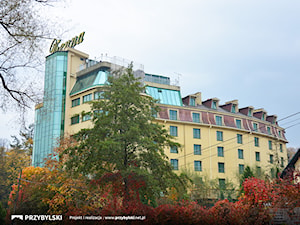 Szyb windowy Park Hotel Vienna - zdjęcie od Przybylski Ogrody Zimowe & Konstrukcje aluminiowo-szklane