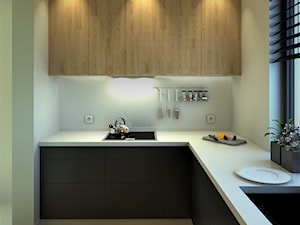 Wnętrze powtarzalnego projektu domu jednorodzinnego "MALUTKI" - Kuchnia, styl nowoczesny - zdjęcie od V P S Architektura  Sebastian Olszewski