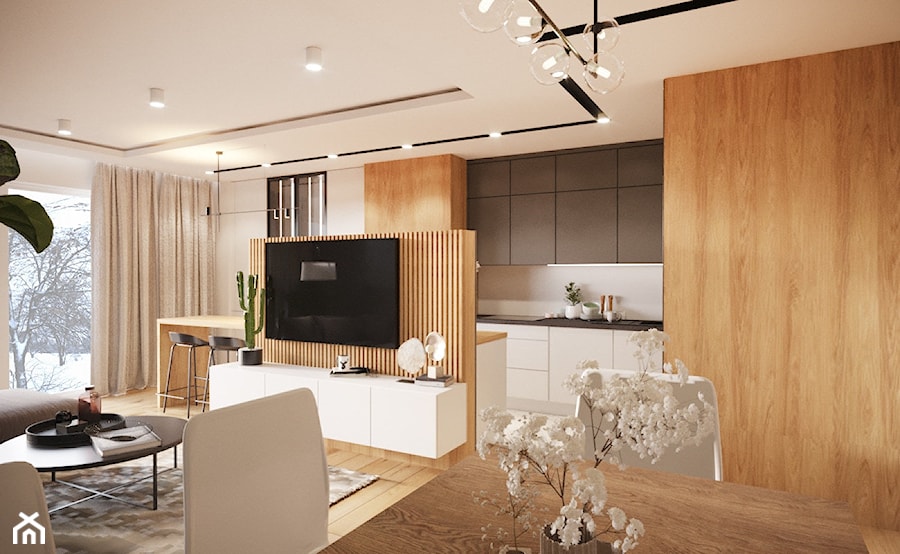 Projekt mieszkania z sufitem podwieszanym - Salon - zdjęcie od Projektowanie Wnetrz Online