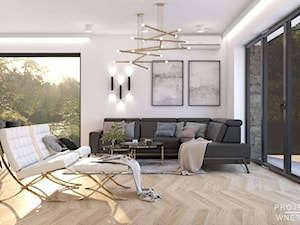Projekt domu ze złotymi dodatkami - Salon, styl nowoczesny - zdjęcie od Projektowanie Wnetrz Online