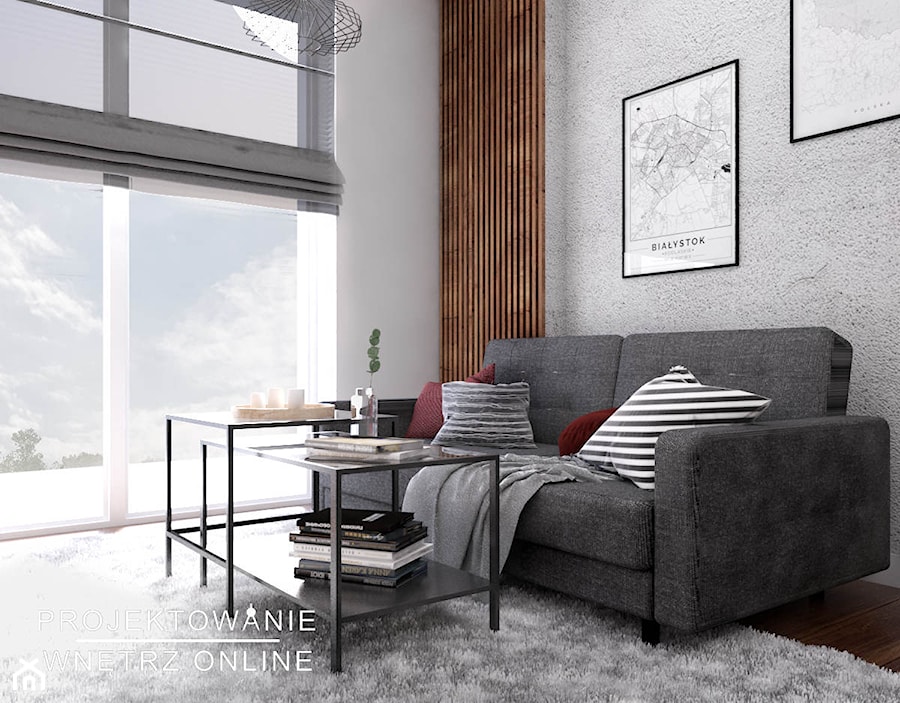 Aranżacja małego mieszkania - Salon - zdjęcie od Projektowanie Wnetrz Online