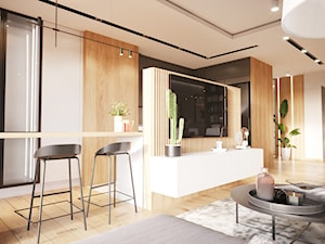 Projekt mieszkania z sufitem podwieszanym - Salon - zdjęcie od Projektowanie Wnetrz Online