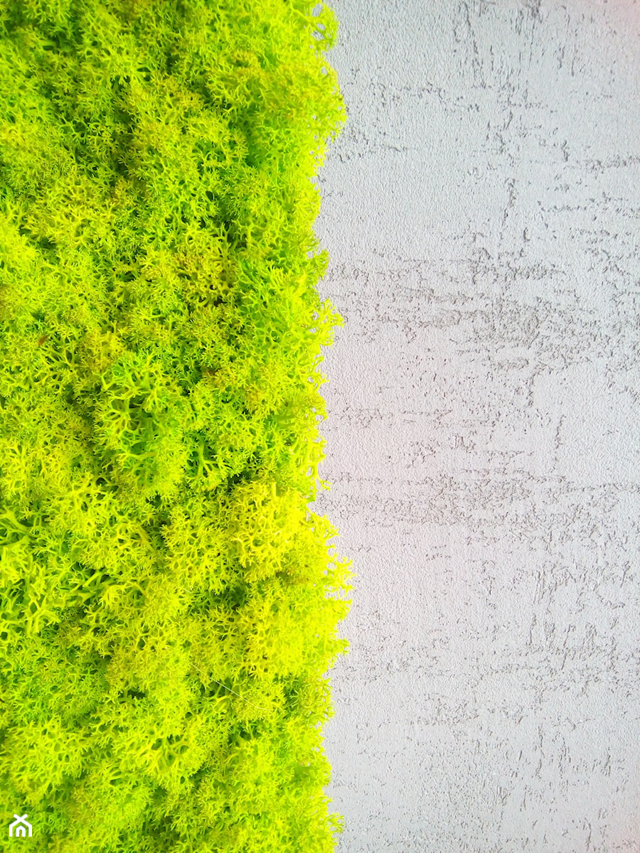 Zielona ściana z mchu - zdjęcie od Paretto Home&Design