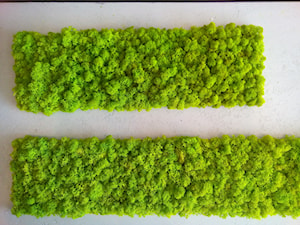 Zielona ściana z mchu - zdjęcie od Paretto Home&Design