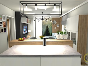 Mieszkanie pod Bydgoszczą - Mały szary salon z kuchnią, styl skandynawski - zdjęcie od DW Wnętrza