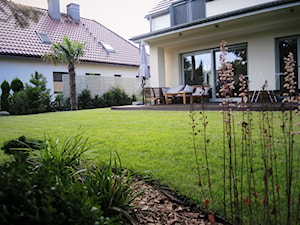 OGRÓD MINIMALISTYCZNY Z PALMĄ - Średni ogród za domem zadaszony przedłużeniem dachu, styl minimalistyczny - zdjęcie od Jasminum architektura krajobrazu