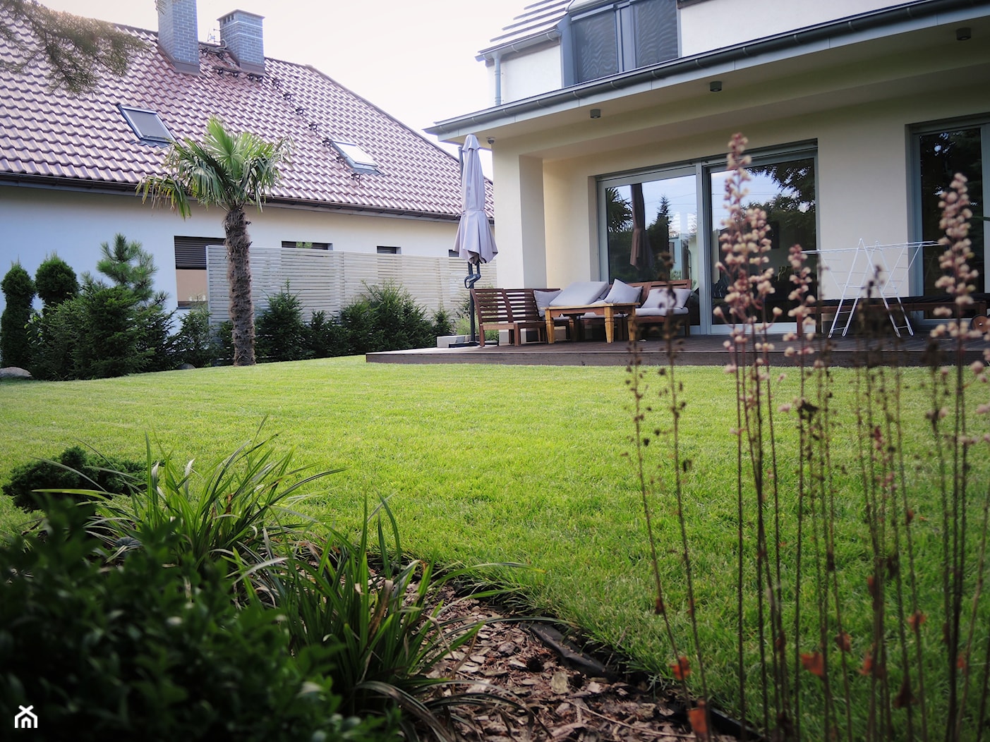 OGRÓD MINIMALISTYCZNY Z PALMĄ - Średni ogród za domem zadaszony przedłużeniem dachu, styl minimalistyczny - zdjęcie od Jasminum architektura krajobrazu - Homebook