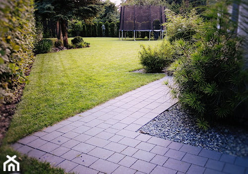 OGRÓD MINIMALISTYCZNY Z PALMĄ - Średni ogród za domem, styl minimalistyczny - zdjęcie od Jasminum architektura krajobrazu