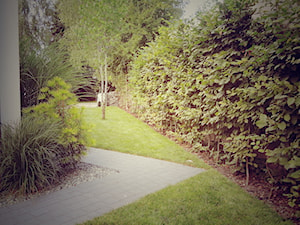 OGRÓD MINIMALISTYCZNY Z PALMĄ - Ogród, styl minimalistyczny - zdjęcie od Jasminum architektura krajobrazu