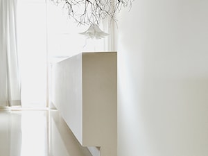 dom biały / dom czarny - Salon, styl nowoczesny - zdjęcie od projekt i...