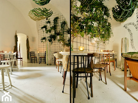 Aranżacje wnętrz - Wnętrza publiczne: kawiarnia Hamsa - Wnętrza publiczne, styl skandynawski - projekt i.... Przeglądaj, dodawaj i zapisuj najlepsze zdjęcia, pomysły i inspiracje designerskie. W bazie mamy już prawie milion fotografii!