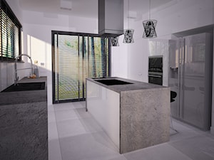 Projekt wybranych wnętrz domku jednorodzinnego - Stargard - Kuchnia, styl nowoczesny - zdjęcie od OpenARCH