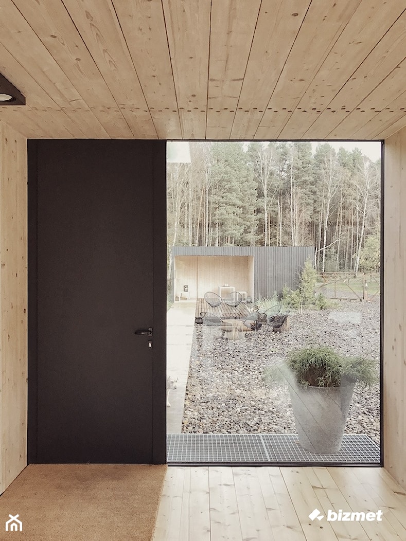 Drzwi aluminiowe z panelem nakładkowym z naświetlem bocznym - zdjęcie od bizmet - okna, drzwi, kominki, bramy - Homebook