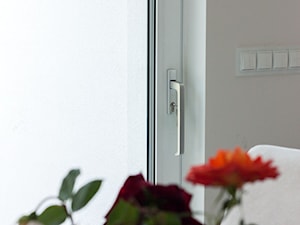 Drzwi typu HS - zdjęcie od bizmet - okna, drzwi, kominki, bramy