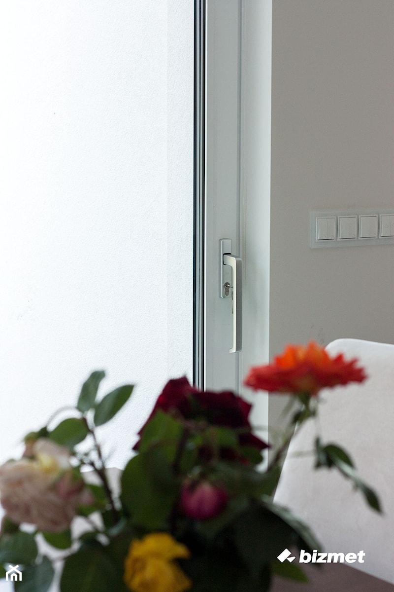Drzwi typu HS - zdjęcie od bizmet - okna, drzwi, kominki, bramy