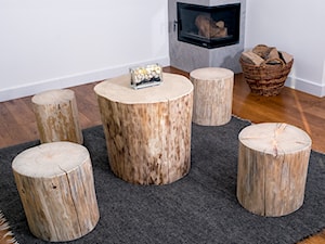 Niezwykłe krzesła i stół z pnia świerkowego - zdjęcie od PRES-BOIS