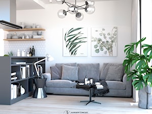Salon z szarą kanapą i monsterą - zdjęcie od Auroom Concept