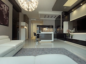salon z kuchnią - zdjęcie od Abc Design