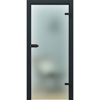 Drzwi PORTA GLASS