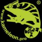 kameleon.pro