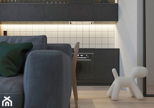 FREE APARTMENT - Mała otwarta z salonem z kamiennym blatem biała z zabudowaną lodówką kuchnia jednorzędowa, styl nowoczesny - zdjęcie od Tobi Architects