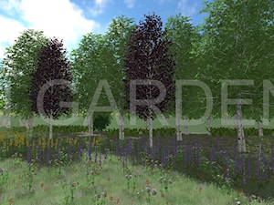 Sielski ogród z łąką kwietną i zagajnikiem - zdjęcie od InGarden. Projektowanie ogrodów Katarzyna Skrzyńska-Pytel