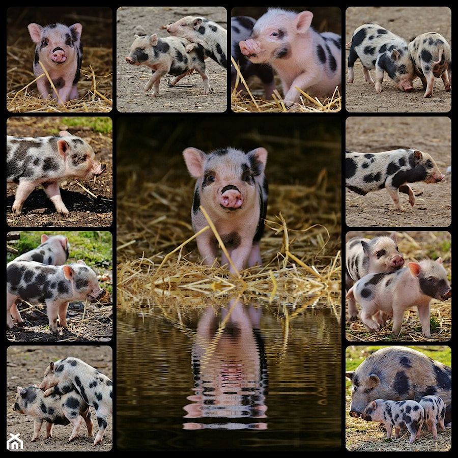 Pokój dziecka - zdjęcie od RAKBISobrazy