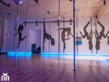 Aranżacje wnętrz - Wnętrza publiczne: Pole Dance Institiute _ Wrocław - Wnętrza publiczne, styl minimalistyczny - Klapińska ARCHITEKTURA WNĘTRZ. Przeglądaj, dodawaj i zapisuj najlepsze zdjęcia, pomysły i inspiracje designerskie. W bazie mamy już prawie milion fotografii!